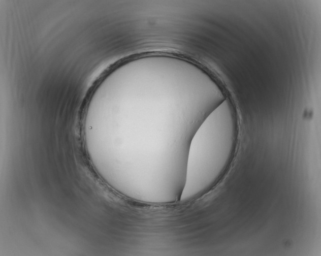 X0000113130883200909040930