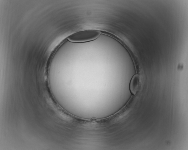 X0000113130885200909040930