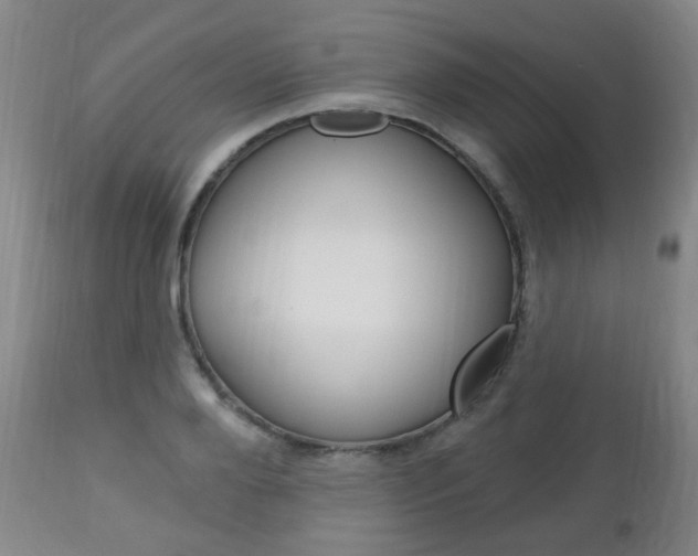 X0000113130888200909040930