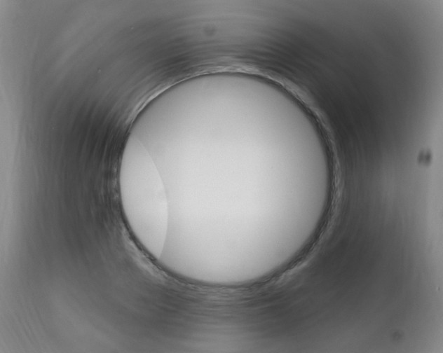 X0000113130889200909040930