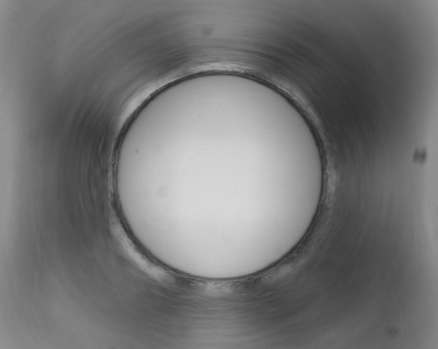 X0000113130890200909040930