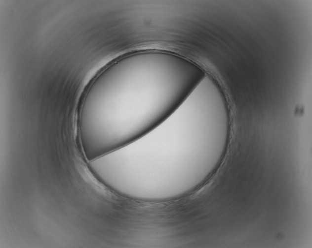 X0000113130892200909040930