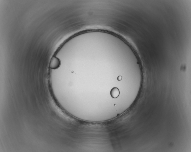 X0000113130895200909040930
