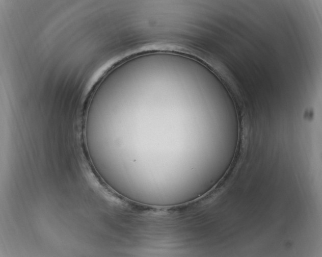 X0000113130896200909040930