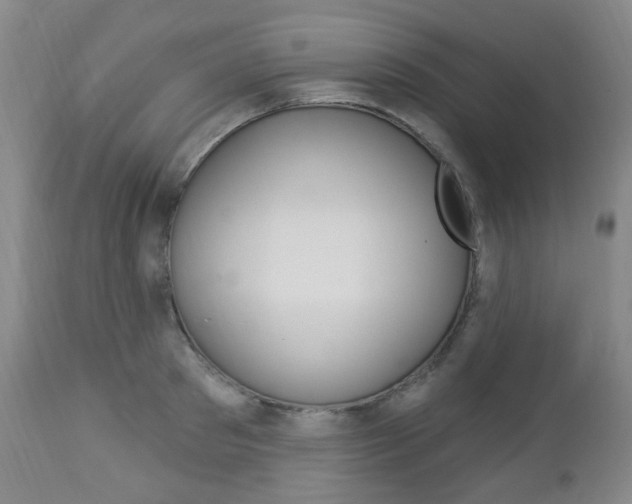 X0000113130897200909040930