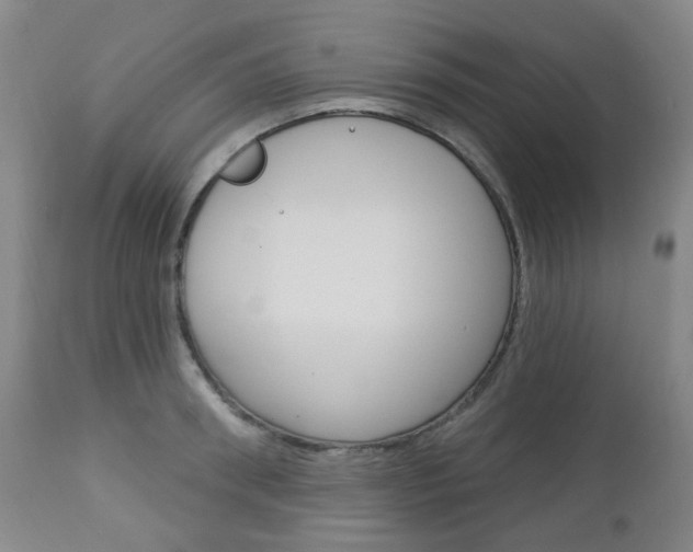 X0000113130898200909040930