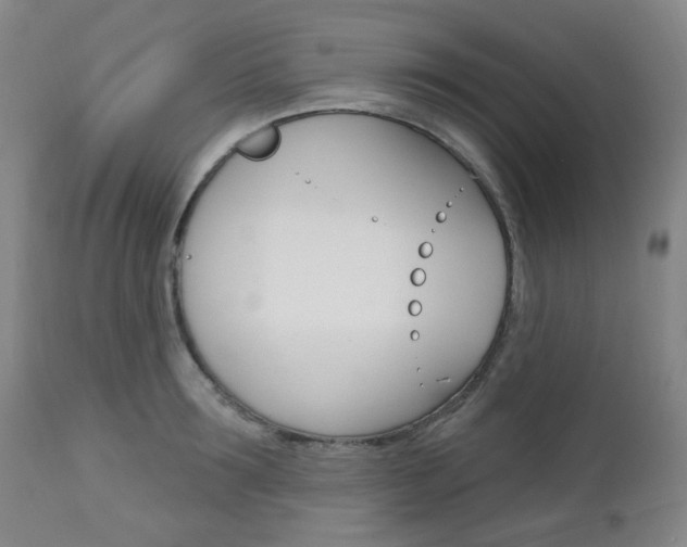 X0000113130899200909040930