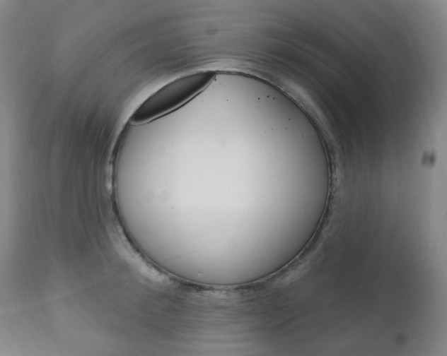 X0000113130900200909040930