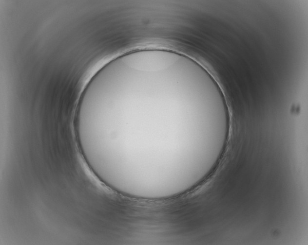 X0000113130901200909040930