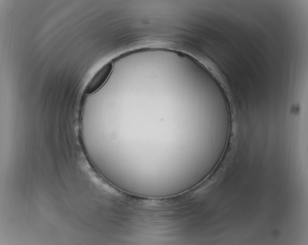 X0000113130904200909040930
