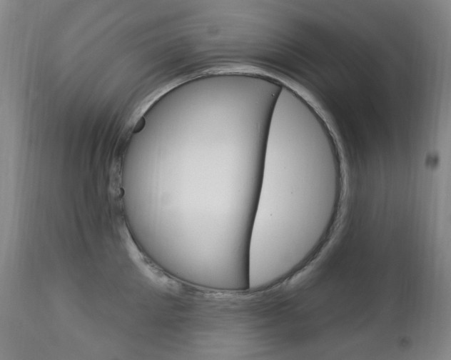X0000113130905200909040930
