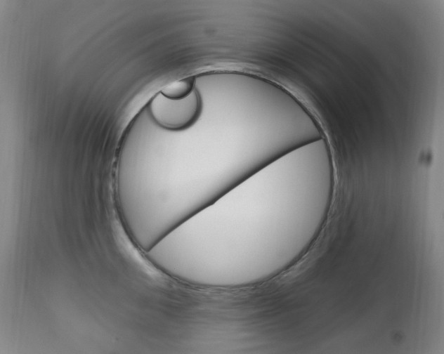 X0000113130906200909040930