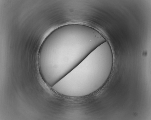 X0000113130907200909040930