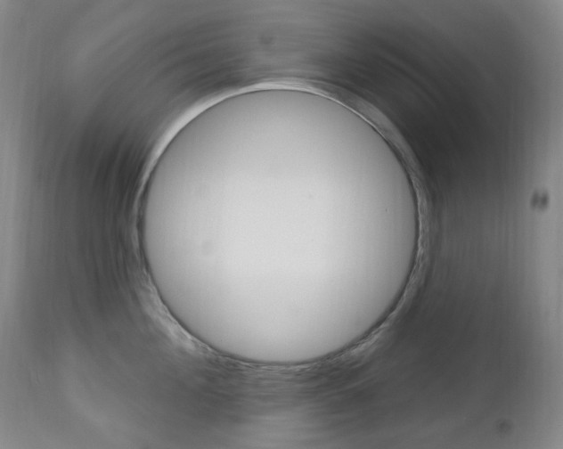X0000113130908200909040930