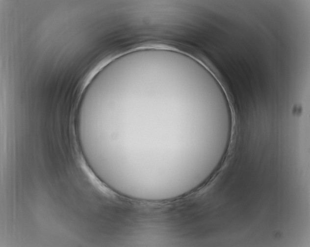 X0000113130909200909040930
