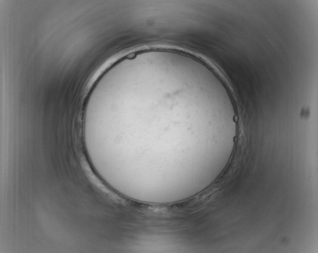 X0000113130911200909040930