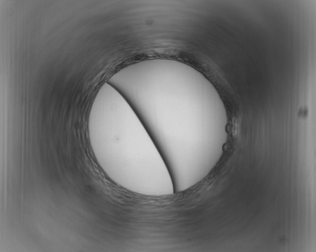 X0000113130915200909040929