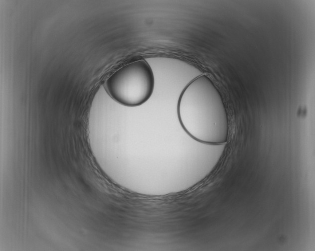 X0000113130916200909040929