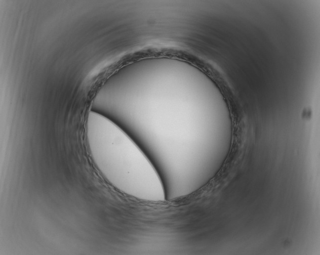 X0000113130919200909040929