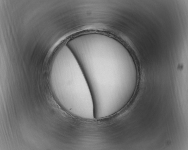 X0000113130923200909040929