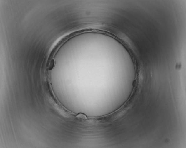 X0000113130924200909040929