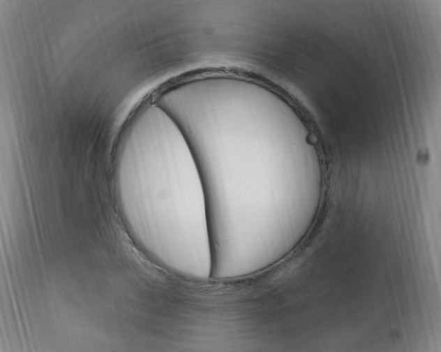 X0000113130927200909040929