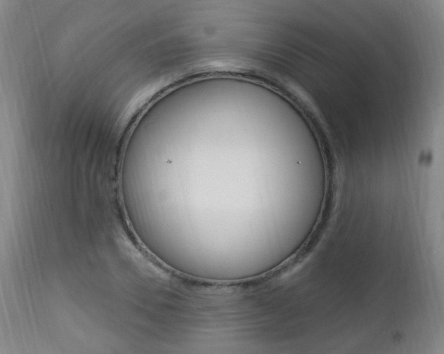 X0000113130930200909040929