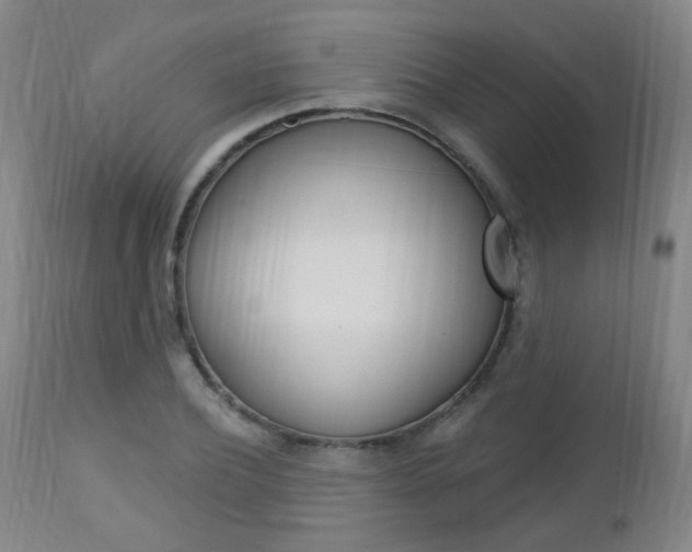X0000113130932200909040929