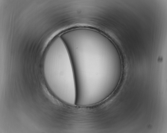 X0000113130934200909040929