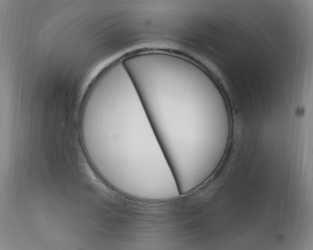 X0000113130935200909040929