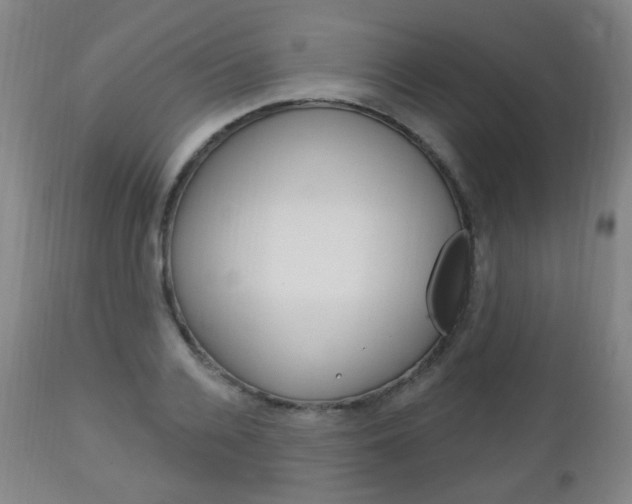 X0000113130936200909040929