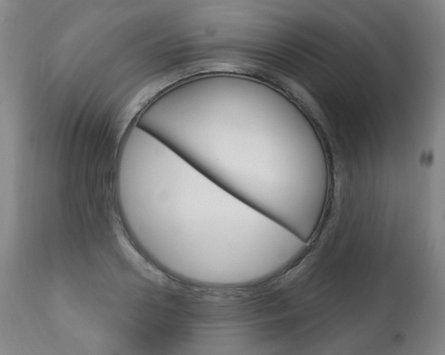 X0000113130938200909040929