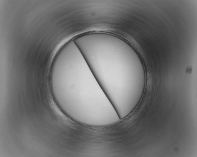 X0000113130939200909040929