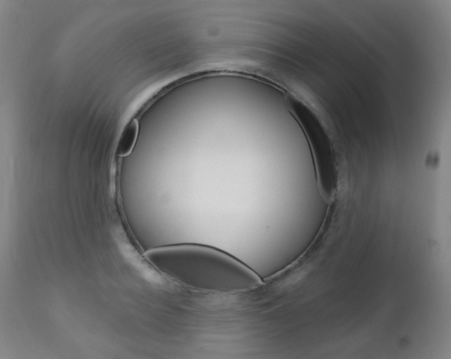 X0000113130940200909040929