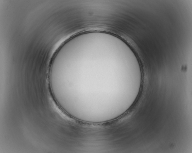X0000113130941200909040929