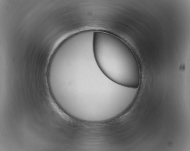 X0000113130942200909040929
