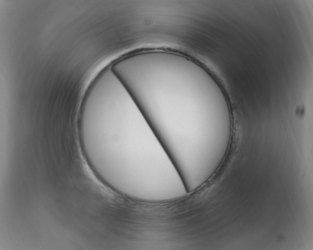 X0000113130943200909040929
