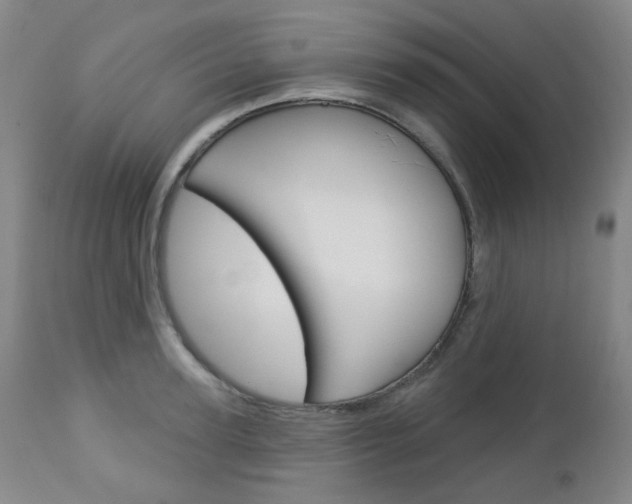 X0000113130947200909040929
