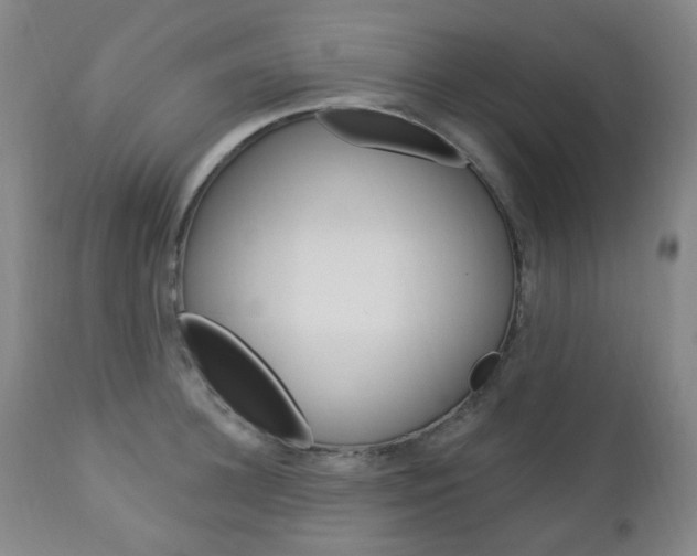 X0000113130948200909040929