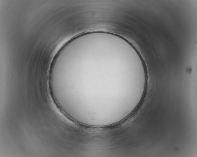 X0000113130949200909040929
