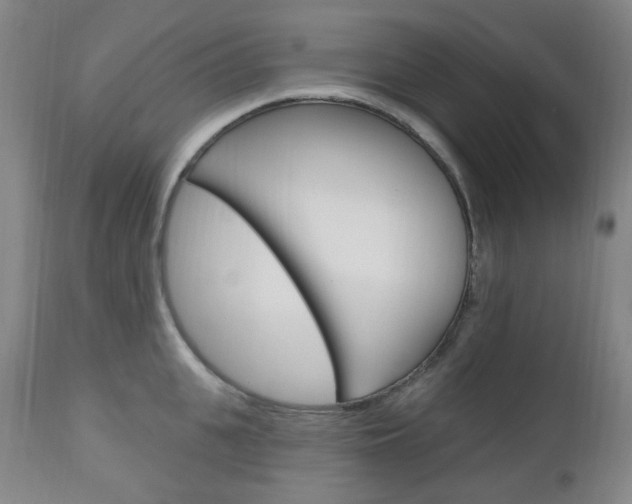 X0000113130951200909040929