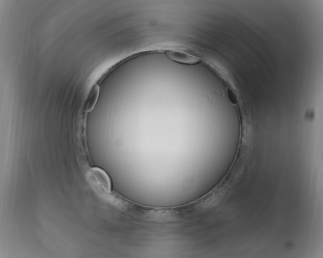 X0000113130952200909040929