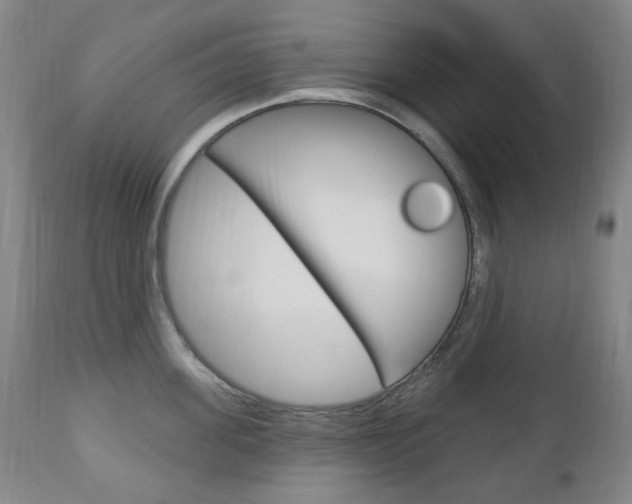 X0000113130955200909040930