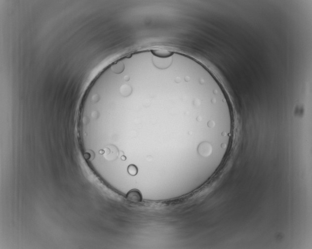 X0000113130957200909040930