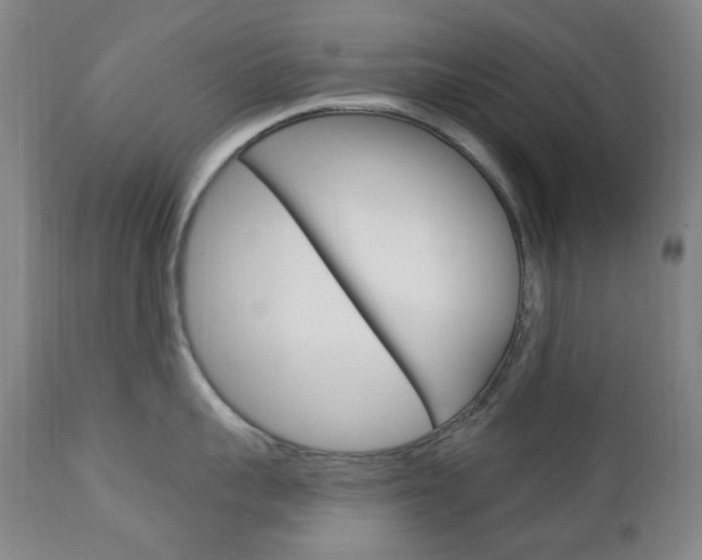 X0000113130959200909040930