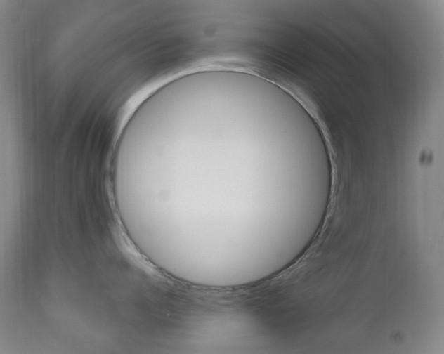 X0000113130960200909040930