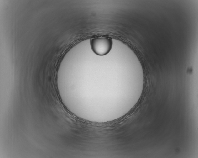 X0000113130961200909040929