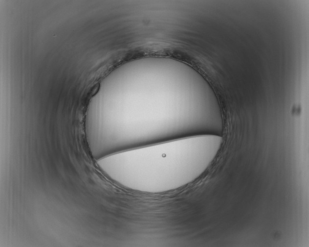 X0000113130964200909040929