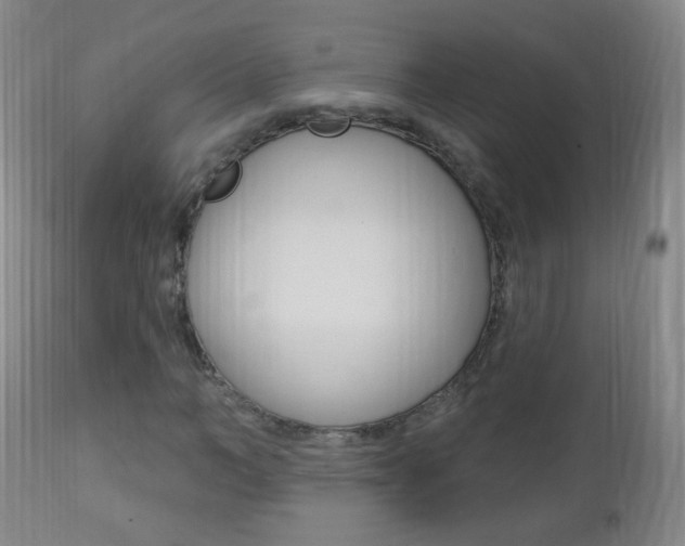 X0000113130966200909040929