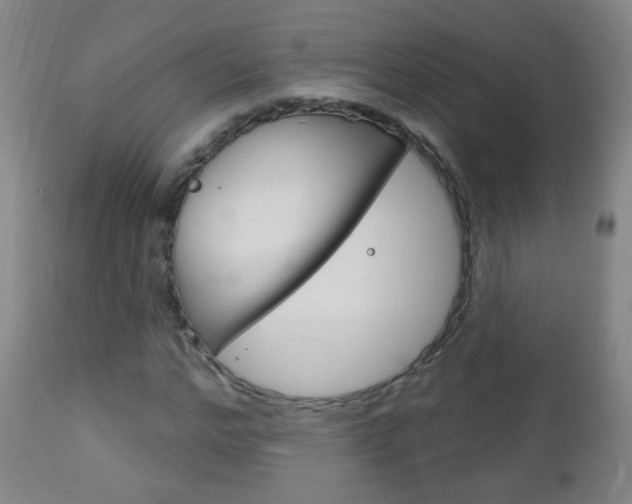 X0000113130968200909040929